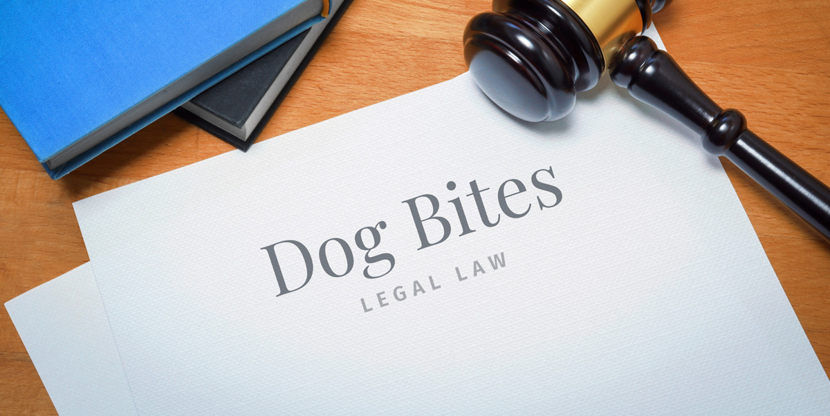 Proving Liability in a California Dog Bite Case